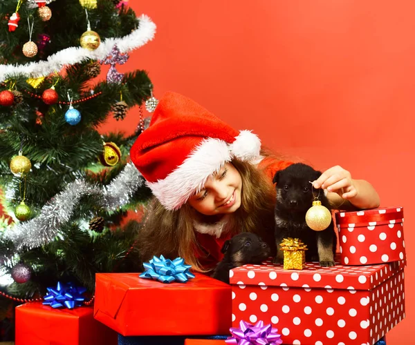 Miss Santa gives small gift to dogs near Christmas tree.