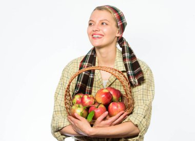 Kadın bahçıvan rustik tarzı sepeti elmalı beyaz arka plan üzerinde tutun. Bayan farmer bahçıvan bakım vitamini sağlıklı beslenme hakkında. Sağlıklı diyet kavramı. Kadın köylü taşıma sepeti doğal meyve