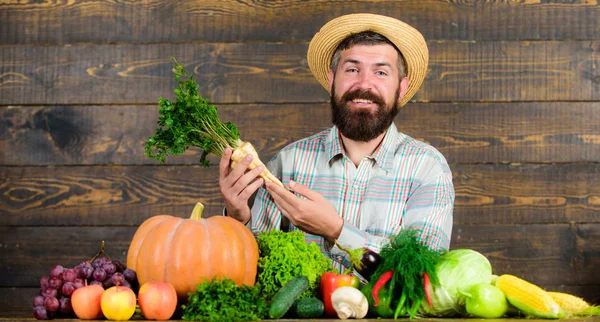 种植有机作物 农夫草帽呈现新鲜蔬菜 农民与本土的收获 农民质朴的村民外观 男子欢快的胡子农夫举行辣根木背景 — 图库照片