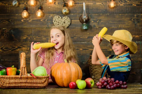 Elementary school fall festival idea. Celebrate harvest festival. Children presenting vegetables wooden background. Kids girl boy celebrate harvest festival rustic style. School festival holiday