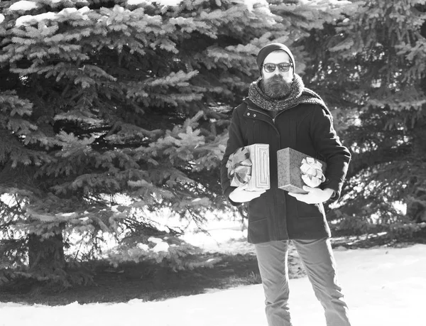 Hombre barbudo guapo, hipster, con barba y bigote en gafas de sol negras, sombrero, abrigo y bufanda con cajas de regalo como regalos en el día de invierno al aire libre sobre fondo natural —  Fotos de Stock