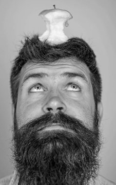 Adam yakışıklı hipster uzun sakal neredeyse kafasına elma güdük hedef olarak yem. Canlı hedef kavramı. Hipster sürpriz elma güdük hedef üzerinde kafa mavi arka plan, yüz kadar yakın. Kilo kaybı gol