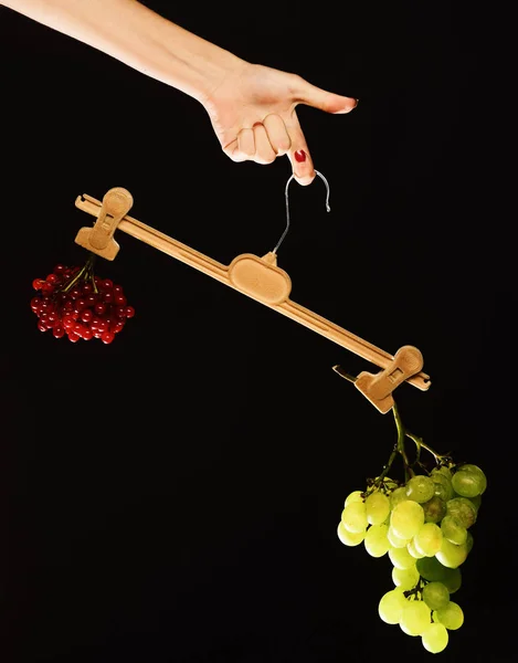 La mano femenina sostiene la percha con frutas en las puntas —  Fotos de Stock