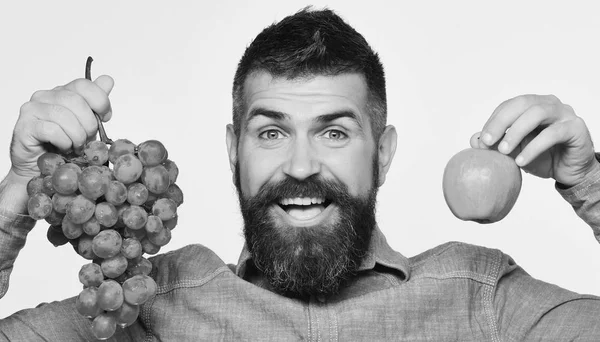 Bauer zeigt Ernte. Winzer mit aufgeregtem Gesicht hält Trauben — Stockfoto