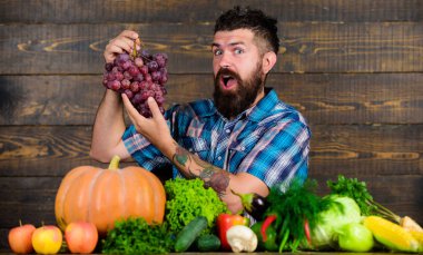 Sebze organik hasat. Tarım ve kavram hasat. Çiftçi masada homegrown hasat ile. Çiftçi hasat sebzeler ve üzüm gurur. Sakallı adam üzüm ahşap arka plan tutar.