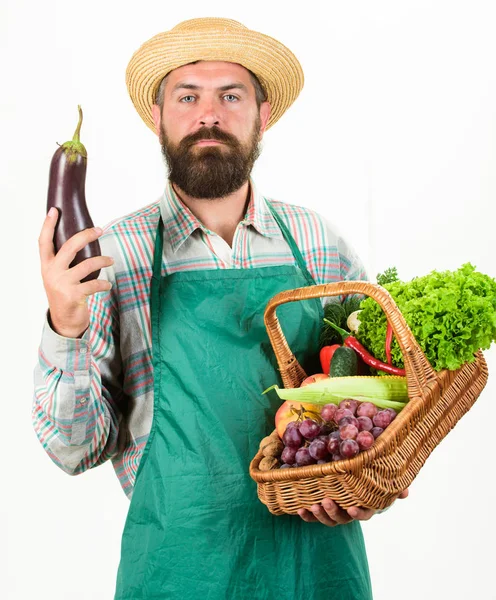 Uomo barbuto presentando verdure sfondo bianco isolato. Hipster giardiniere indossare grembiule portare verdure. Cappello contadino di paglia tenere melanzane e verdure cestino. Cesto di vimini verdure biologiche fresche — Foto Stock