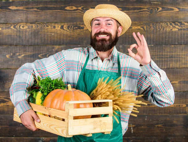 Man cheerful bearded farmer wear apron presenting vegetables box wooden background. Fresh organic vegetables box. Farmer hipster straw hat deliver fresh vegetables. Fresh vegetables delivery service.