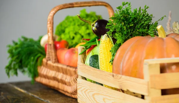 Fresh organic vegetables in wicker basket and wooden box. Fall harvest concept. Autumn harvest organic crops pumpkin corn vegetables. Vegetables from garden or farm close up. Homegrown vegetables