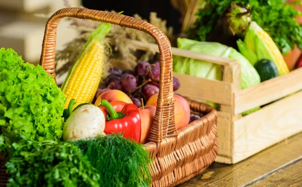 Frisches Bio-Gemüse in Weidenkorb und Holzkiste. Herbsterntekonzept. Gemüse aus Garten oder Bauernhof hautnah. Herbsternte Bioprodukte Kürbismais-Gemüse. Gemüse aus eigenem Anbau — Stockfoto