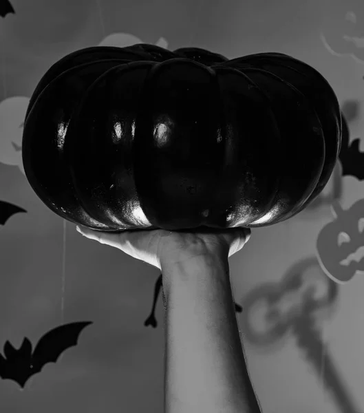 Halloween and party concept. Male hand holds black pumpkin — Stock Photo, Image