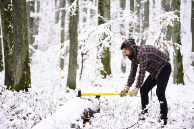 Sakallı, bıyıklı, keskin sarı baltalı maço..