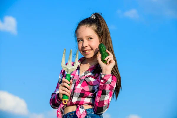 Concepto de jardinería y cosecha. Actividad de jardinería. Una niña jardinera trabaja en una granja familiar. Niño jardinero alegre sostiene rastrillo y el fondo del cielo azul pepino. Chica jardinero con rastrillo de mano — Foto de Stock