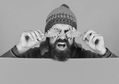 Sıcak şapkalı adam turuncu zemin üzerine meşe yaprağı tutan