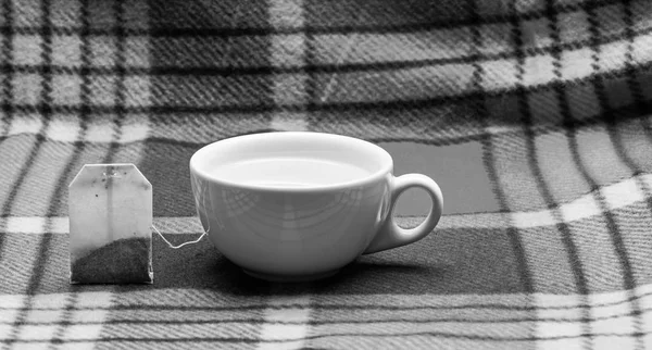 Pohár vagy a fehér porcelán bögre átlátszó forró vízzel és zacskó tea. Folyamat bontakozhat ki kerámia bögre teát. Bögre tele forró vízzel, és színes kockás hátteret a teás zacskó. Tea idő fogalma — Stock Fotó