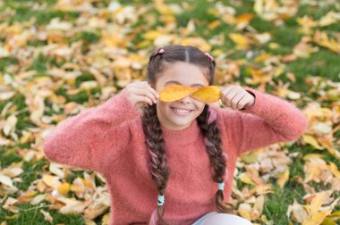 Mutlu çocukluk. Okul zamanı. Sonbahar yaprakları ve doğa. Sonbahar ormandaki mutlu küçük kız. Sonbahar yaprakları ile küçük çocuk. Duygu kuru ve korumalı. Delirmek. Tamamen ücretsiz duygu