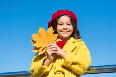 Sonbahar coziness sadece civarındadır. Küçük kız sonbahar sezonu için heyecanlı. Sonbahar ılık sezon keyifli anlar. Yüz tutun yaprakları gökyüzü arka plan gülümseyen kız evlat. Çocuk ile sonbahar akçaağaç yaprakları yürüyüş