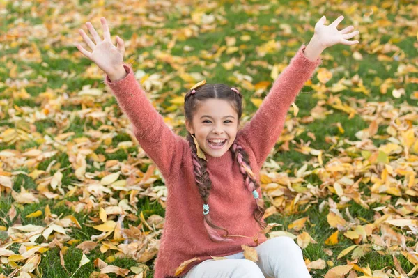 Щасливе дитинство. Шкільний час. Осіннє листя і природа. Маленька дитина з осіннім листям. Щаслива дівчинка в осінньому лісі. Відчуваю себе комфортно. Ідеальне місце для відпочинку. Повністю щасливий — стокове фото