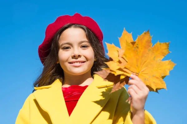 Autunno stagione calda piacevoli momenti. Ragazza sorridente viso tenere foglie cielo sfondo. Bambino con foglie d'acero autunnali a piedi. L'intimità autunnale è qui vicino. Bambina entusiasta della stagione autunnale — Foto Stock