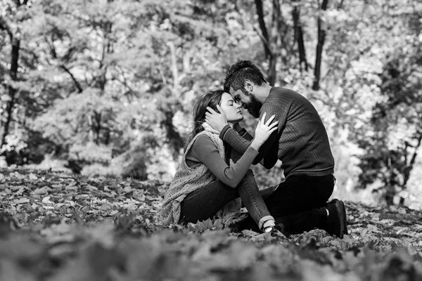 Pareja enamorada de bufandas se sienta en hojas en el parque —  Fotos de Stock