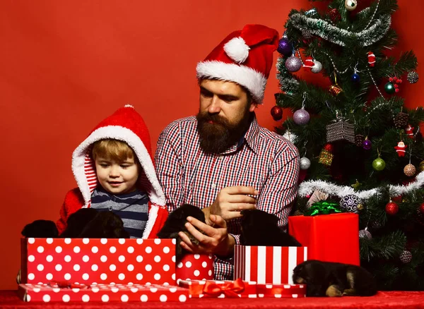 Sakallı ve çocuklu baba Noel ağacının yanında köpek tutuyor.. — Stok fotoğraf
