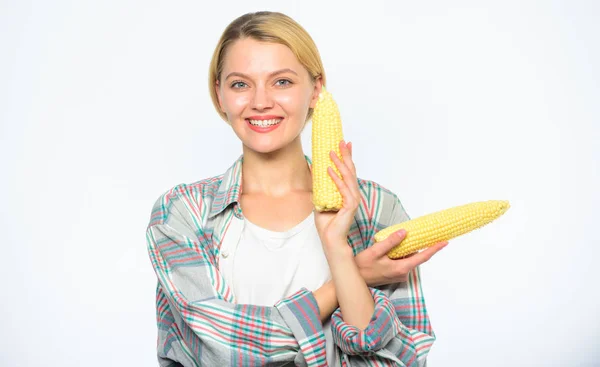 Girl rustic style hold ripe corn in hand. Food vegetarian and healthy organic products. Agriculture and fall crops concept. Fall harvest concept. Woman farmer hold yellow corn cob on white background Royalty Free Stock Images