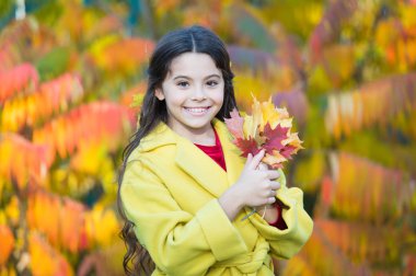 Kendin hakkında daha fazla tarzıdır. Küçük fashionista. Sonbahar günü mutlu kız. Küçük kız ile sonbahar gülümseyen mutlu bırakır. Kızlar sonbahar stil. Doğası gereği şık