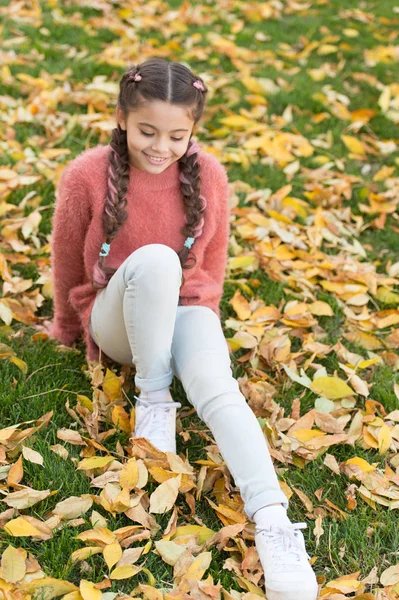 Herfst bladeren en natuur. Gelukkige jeugd. Schooltijd. Gelukkig klein meisje in de herfst bos. Perfecte plek om te verblijven. Klein kind met herfstbladeren. Droog en beschermd gevoel. Klaar voor nieuwe avonturen — Stockfoto
