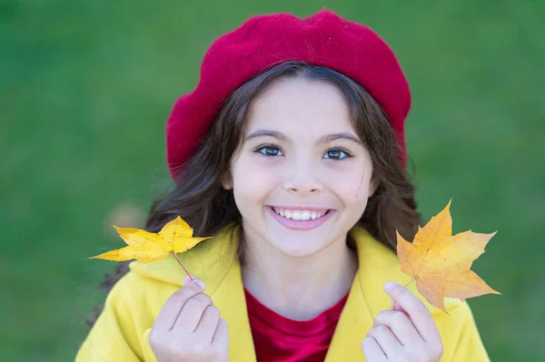 Menina criança sorridente rosto segurar folhas de bordo. Criança com folhas de bordo de outono andar. O aconchego do outono é por aí. Menina animada sobre a temporada de outono. Dicas para transformar o outono na melhor temporada — Fotografia de Stock