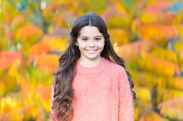 Moda Deve Ser Elegante Divertido Menina Pequena Paisagem Outono Menina — Fotografia de Stock