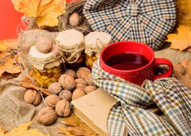 Bir fincan çay eşarp kırmızı arka plan düşmüş akçaağaç yaprakları ve ceviz ile çevrili. Rahat sonbahar atmosferinin keyfini çıkarın. Sonbahar kova liste kavramı. Kupa rahat aromatik çay içecek eşarp ve muamele etmek