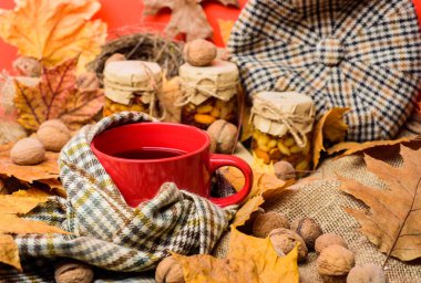 Sonbahar sezonu kavramı yapılacaklar listesi. Kupa rahat aromatik çay içecek eşarp ve muamele etmek. Rahat sonbahar atmosfer. Eşarp kırmızı arka plan düşmüş akçaağaç yaprakları ve ceviz ile çevrili çay bir fincan