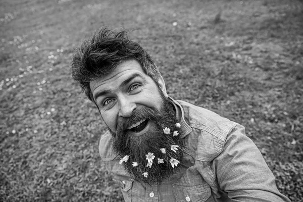 Hipster op gelukkig gezicht zit op gras, intreepupil. Man met baard geniet voorjaar, groene weide achtergrond. Man met kleine stinkende gouwe bloemen in baard selfie foto te nemen. Natuurlijke schoonheid concept — Stockfoto