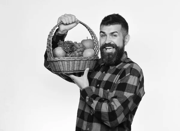 Farmer with excited face presents apples, grapes and cranberries.