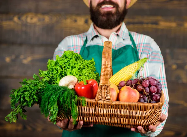 Uomo barbuto giardiniere che presenta verdure eco sfondo in legno. Verdure fresche biologiche in cesto di vimini. Agricoltore che presenta verdure fresche. Agricoltore con verdure fatte in casa nel cestino — Foto Stock