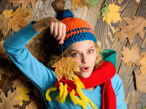 Fall cozy atmosphere. Knitted accessories. Girl cheerful face lay on wooden background with leaves top view. Fall and autumn season concept. Hipster woman knitted hat and scarf hold autumn leaves