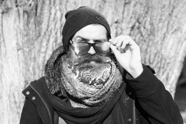 Yakışıklı sakallı adam, yenilikçi, sakal ve bıyık siyah güneş gözlüğü, şapka, eşarp tree yakınındaki beyaz Don standları ile üzerinde kış günü açık havada doğal adam kapalı