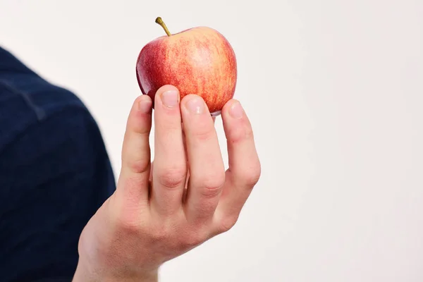 밝은 회색 배경에서 분리 된 애플 과일 — 스톡 사진