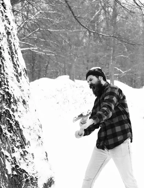 Hombre guapo o leñador brutal, hipster barbudo, con barba y bigote en camisa a cuadros rojos corta árbol con hacha en el bosque nevado en el día de invierno al aire libre en el fondo natural — Foto de Stock