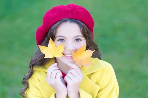 Dicas para transformar o outono na melhor temporada. Menina criança sorridente rosto segurar folhas de bordo. Criança com folhas de bordo de outono andar. O aconchego do outono é por aí. Menina animada sobre a temporada de outono — Fotografia de Stock