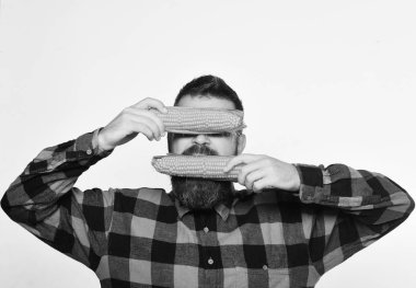 Sarı mısırlı, gizli yüzlü çiftçi.