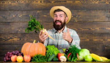 Adam neşeli çiftçi tutun horseradish ahşap arka plan sakallı. Çiftçi hasır şapka taze sebze sunulması. Çiftçi homegrown hasat ile. Çiftçi rustik köylü görünüm. Organik bitkileri büyümeye