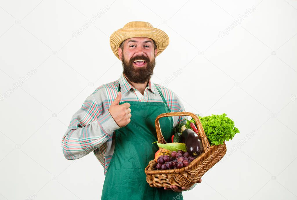 Farmer straw hat hold eggplant and basket vegetables. Fresh organic vegetables wicker basket. Man bearded presenting vegetables white background isolated. Hipster gardener wear apron carry vegetables