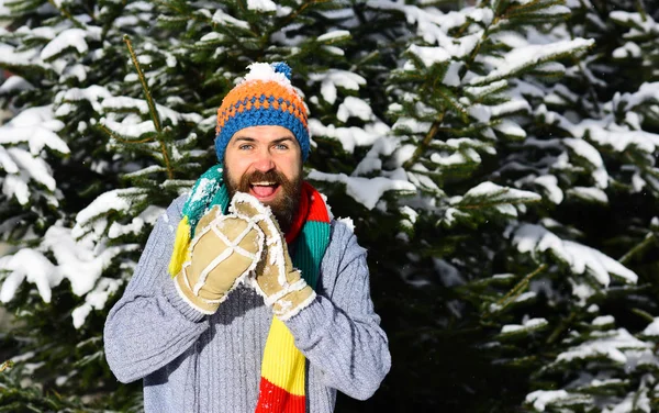 Man with hat, scarf and gloves. Macho with beard