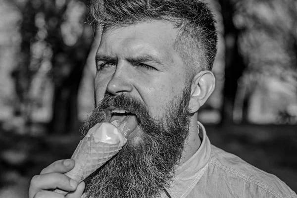 Bearded man with ice cream cone. Chilling concept. Man with long beard licks ice cream, close up. Man with beard and mustache on calm face eats ice cream, nature background, defocused