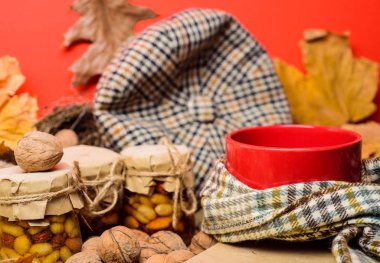 Kupa rahat aromatik çay içecek eşarp ve muamele etmek. Bir fincan çay eşarp kırmızı arka plan düşmüş akçaağaç yaprakları ve ceviz ile çevrili. Rahat sonbahar atmosferinin keyfini çıkarın. Sonbahar kova liste kavramı