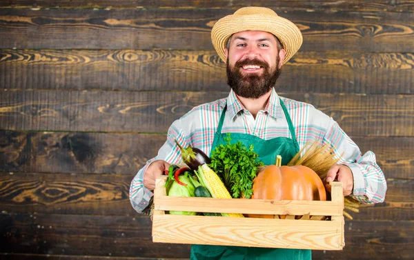Człowiek wesoły Brodaty rolnik nosić fartuch prezentując warzywa podłoże drewniane pudełko. Rolnik hipster słomkowy kapelusz dostarczyć świeże warzywa. Dostawa świeżych warzyw. Świeże warzywa ekologiczne pudełko — Zdjęcie stockowe
