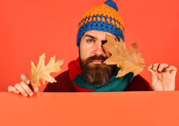 Oktober och november tid idé. Hipster med skägg — Stockfoto