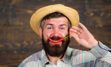 Hasır şapkalı rustik çiftçi baharatlı tadı seviyor. Adam tutun biber hasat. Biber hasat kavramı. Sakallı çiftçi biber kırmızı biber elinde tut. Sıcak biber biber ahşap arka plan sunulması çiftçi