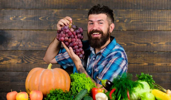 Agricoltore orgoglioso della raccolta di ortaggi e uva. Concetto di allevamento e raccolta. L'uomo barbuto tiene uva sfondo in legno. Agricoltore con raccolto casalingo in tavola. Ortaggi raccolta biologica — Foto Stock