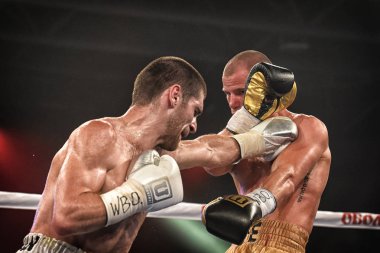 Kiev, Ukrayna - 16 Eylül 2017: Sparta boks Haritayı dahil altı sıralaması mücadele. Milli Güvenlik'Olimpiyskiy, Kiev, Ukrayna sıralaması için kavga sırasında halka tanımlanamayan bir boksörler